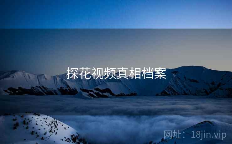 探花视频真相档案