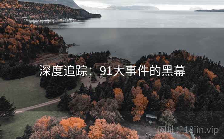 深度追踪:91大事件的黑幕