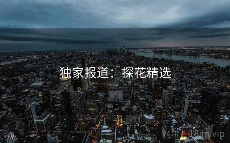 独家报道:探花精选