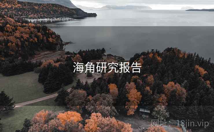 海角研究报告 海角研究报告