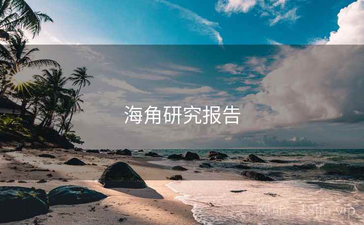 海角研究报告