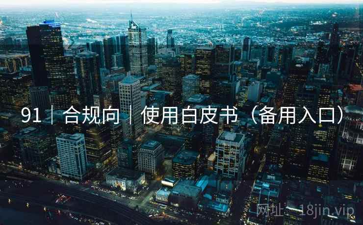 91|合规向|使用白皮书(备用入口) 91|合规向|使用白皮书(备用入口)