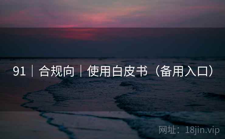 91|合规向|使用白皮书(备用入口) 91|合规向|使用白皮书(备用入口)