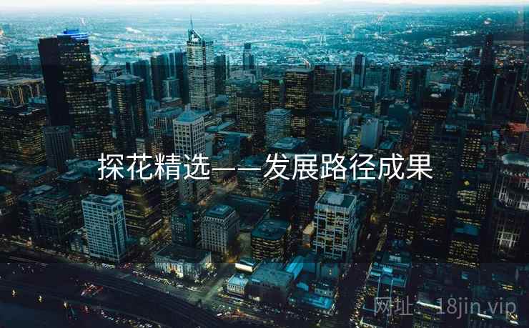 探花精选——发展路径成果 探花精选——发展路径成果