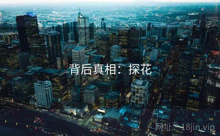 背后真相:探花