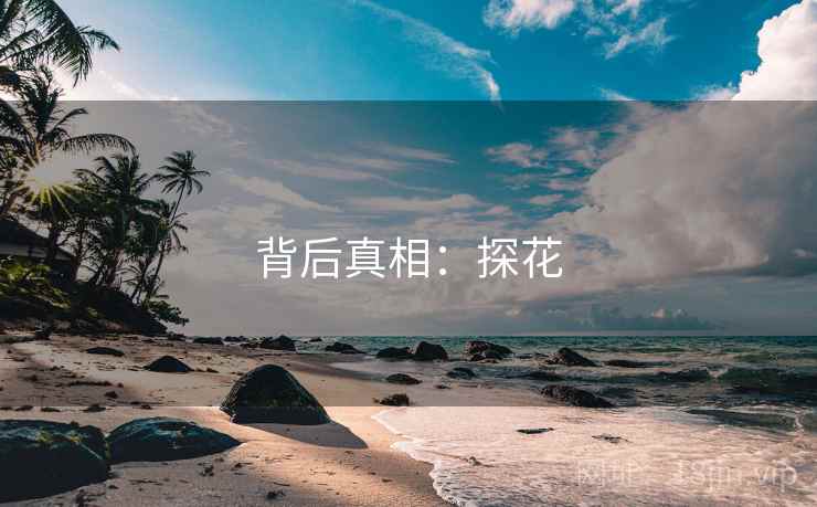 背后真相:探花 背后真相:探花