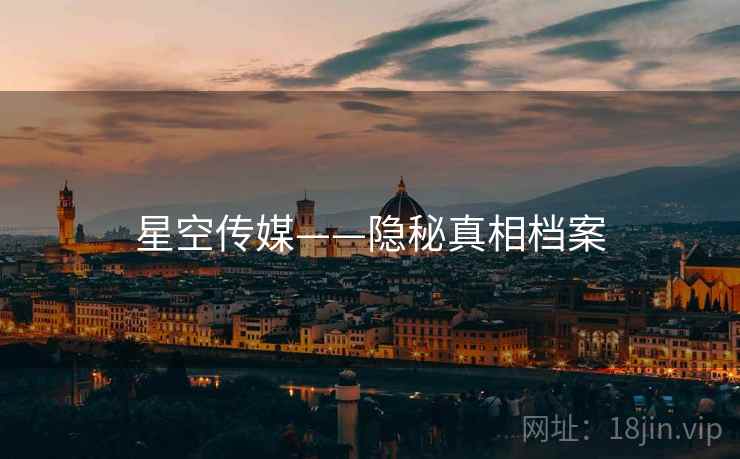 星空传媒——隐秘真相档案