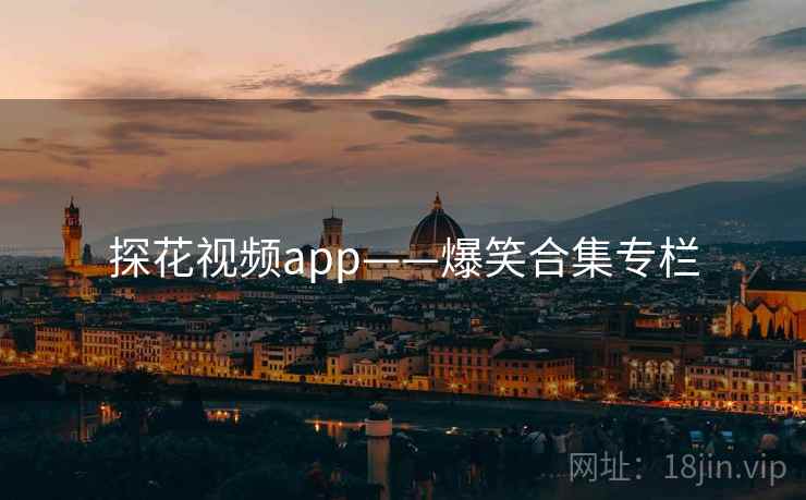 探花视频app——爆笑合集专栏