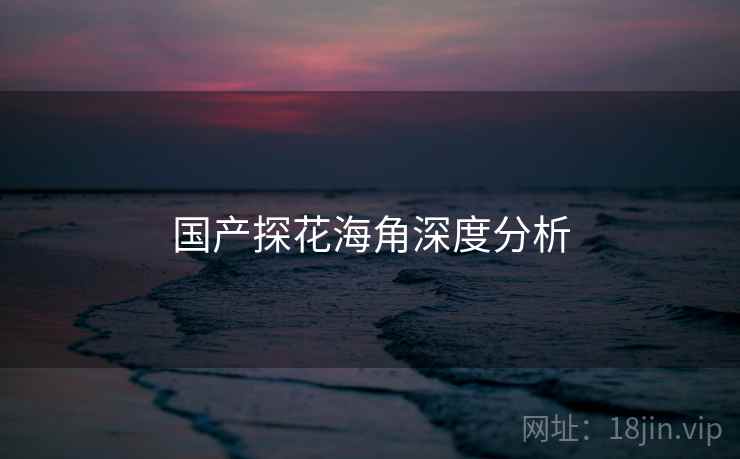 国产探花海角深度分析