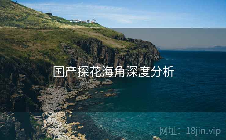 国产探花海角深度分析 国产探花海角深度分析