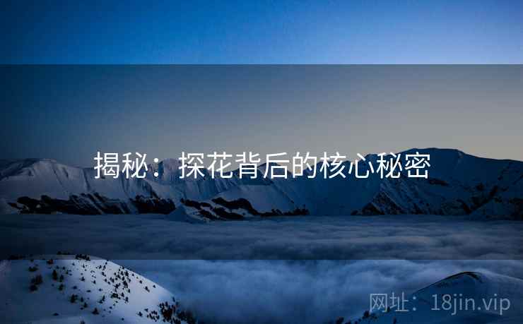 揭秘:探花背后的核心秘密