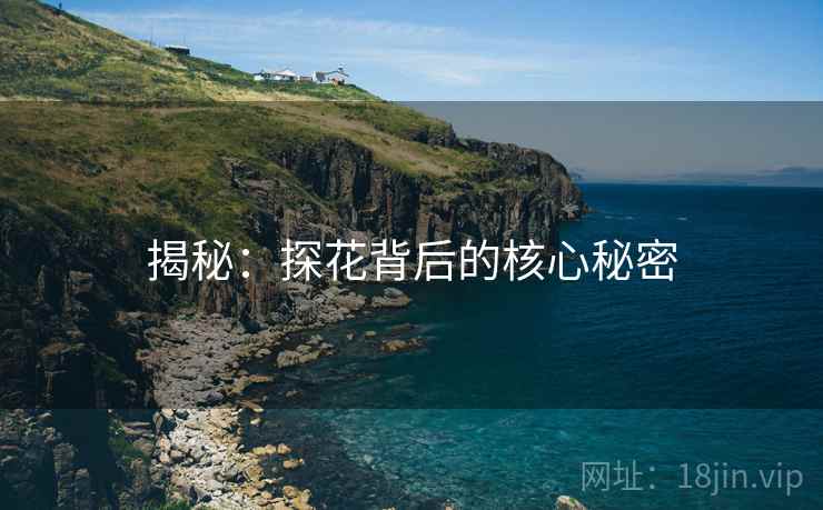 揭秘:探花背后的核心秘密 揭秘:探花背后的核心秘密