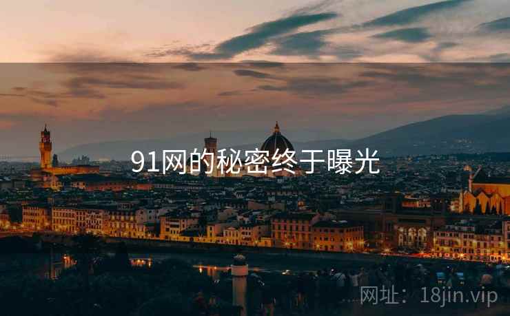 91网的秘密终于曝光 91网的秘密终于曝光